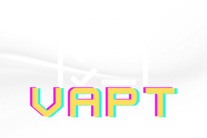 Websites with VAPT test