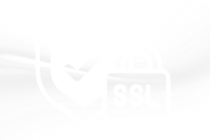 Websites with SSL
